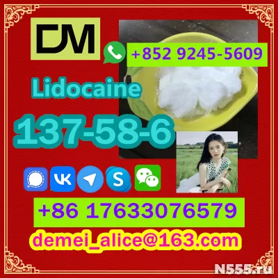 Manufacturer Supply Raw Material CAS 137-58-6 Lidocaine