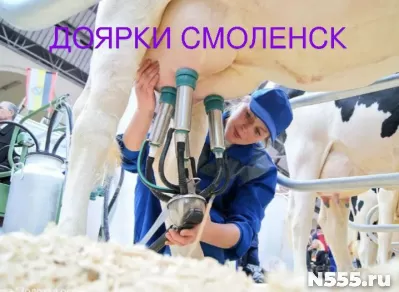 Доярки с опытом на молочную ферму
