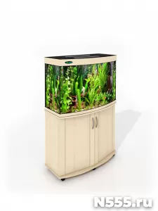 Аквариумы любой формы и объёма в интернет-магазине ZelAqua