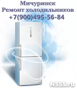 Ремонт холодильников в Мичуринске
