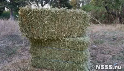 Продаётся люцерна в тюках
