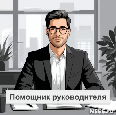 Помощник руководителя