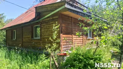 Добротный дом в лесу на хуторе под Старым Изборском