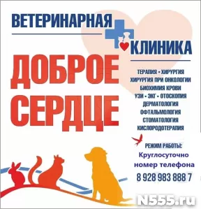 Круглосуточная ветеринарная клиника