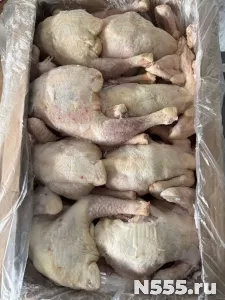курица