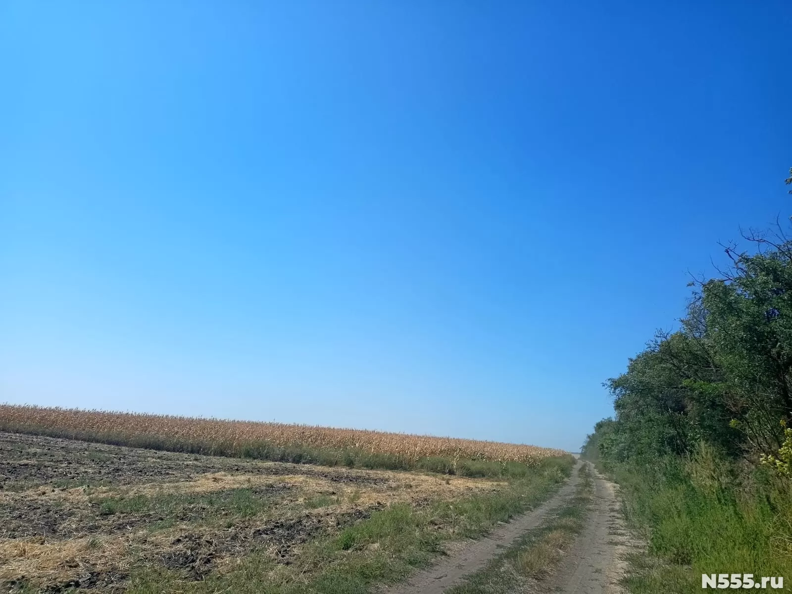 Земельный Участок Купить В Ставропольском Районе