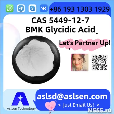 Premium BMK Glycidic Acid  CAS Number: 5449-12-7