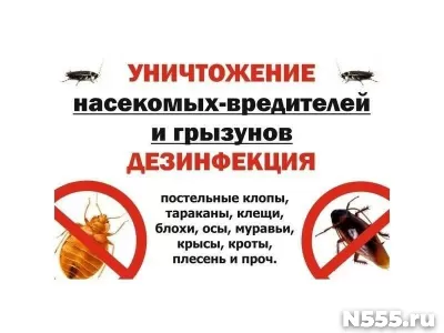 Уничтожение Насекомых и Грызунов